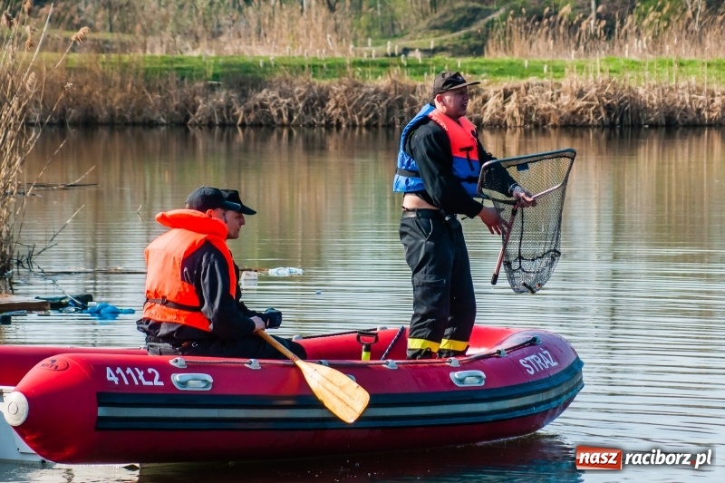 Zdjęcie w galerii na portalu naszraciborz.pl: Mega City wyciągnęło ze żwirowni zatopionego forda [FOTO i WIDEO] wiadomości z regionu