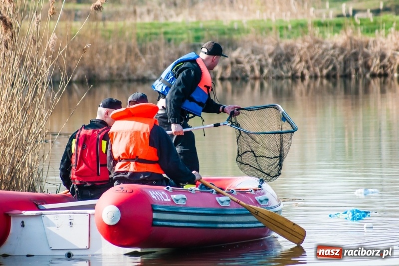 Zdjęcie w galerii na portalu naszraciborz.pl: Mega City wyciągnęło ze żwirowni zatopionego forda [FOTO i WIDEO] wiadomości z regionu