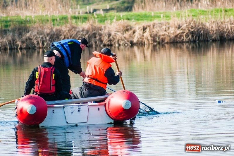 Zdjęcie w galerii na portalu naszraciborz.pl: Mega City wyciągnęło ze żwirowni zatopionego forda [FOTO i WIDEO] wiadomości z regionu