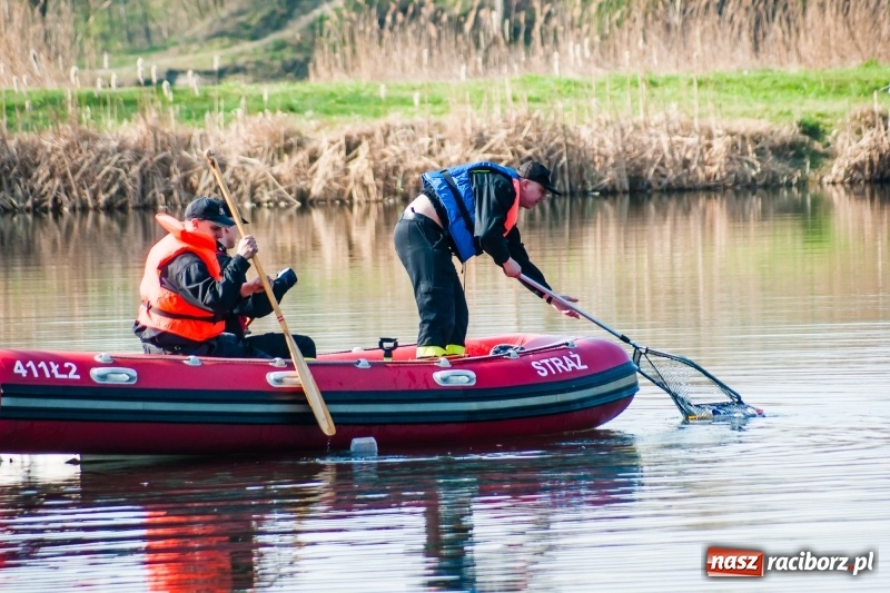 Zdjęcie w galerii na portalu naszraciborz.pl: Mega City wyciągnęło ze żwirowni zatopionego forda [FOTO i WIDEO] wiadomości z regionu