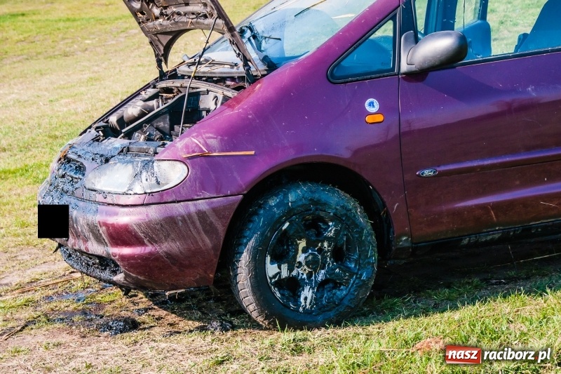 Zdjęcie w galerii na portalu naszraciborz.pl: Mega City wyciągnęło ze żwirowni zatopionego forda [FOTO i WIDEO] wiadomości z regionu