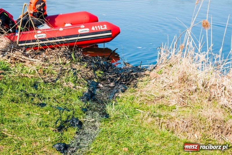 Zdjęcie w galerii na portalu naszraciborz.pl: Mega City wyciągnęło ze żwirowni zatopionego forda [FOTO i WIDEO] wiadomości z regionu