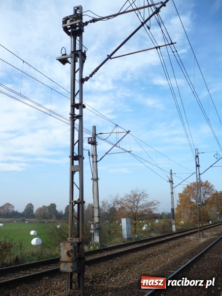 Zdjęcie w galerii na portalu naszraciborz.pl: PKP zapowiada sprawniejsze podróże pociągiem z Raciborza do Czech wiadomości z regionu