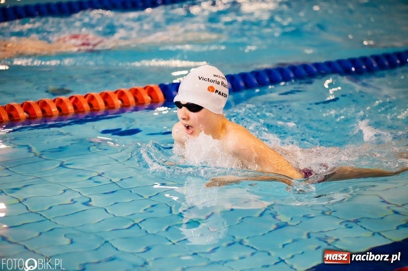 Zdjęcie w galerii na portalu naszraciborz.pl: Mistrzostwa Szkół Sportowych w pływaniu wiadomości z regionu