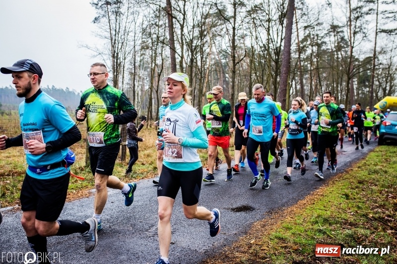 Zdjęcie w galerii na portalu naszraciborz.pl: IV Kuźniański Półmaraton Leśny 2019 [FOTO] wiadomości z regionu