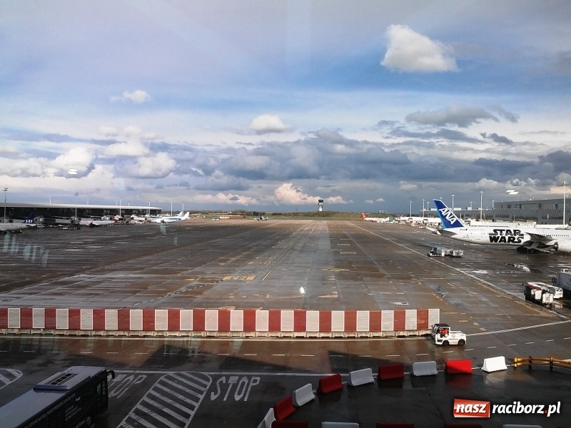 Zdjęcie w galerii na portalu naszraciborz.pl: Europa dla obywateli. Raciborzanie z zaproszeniem do Brukseli  wiadomości z regionu