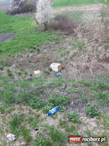 Zdjęcie w galerii na portalu naszraciborz.pl: Smutny widok na drodze do Łężczoka  wiadomości z regionu