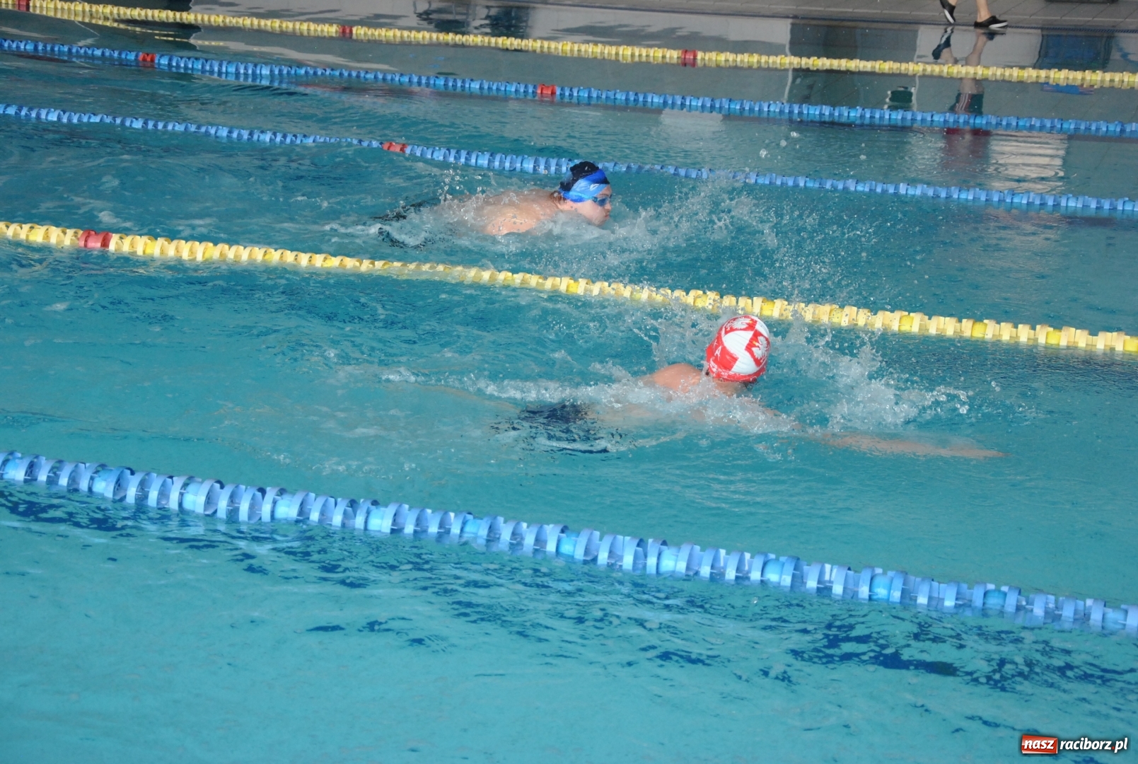 Zdjęcie w galerii na portalu naszraciborz.pl: Huragan Racibórz rządził na basenie w Zabrzu wiadomości z regionu