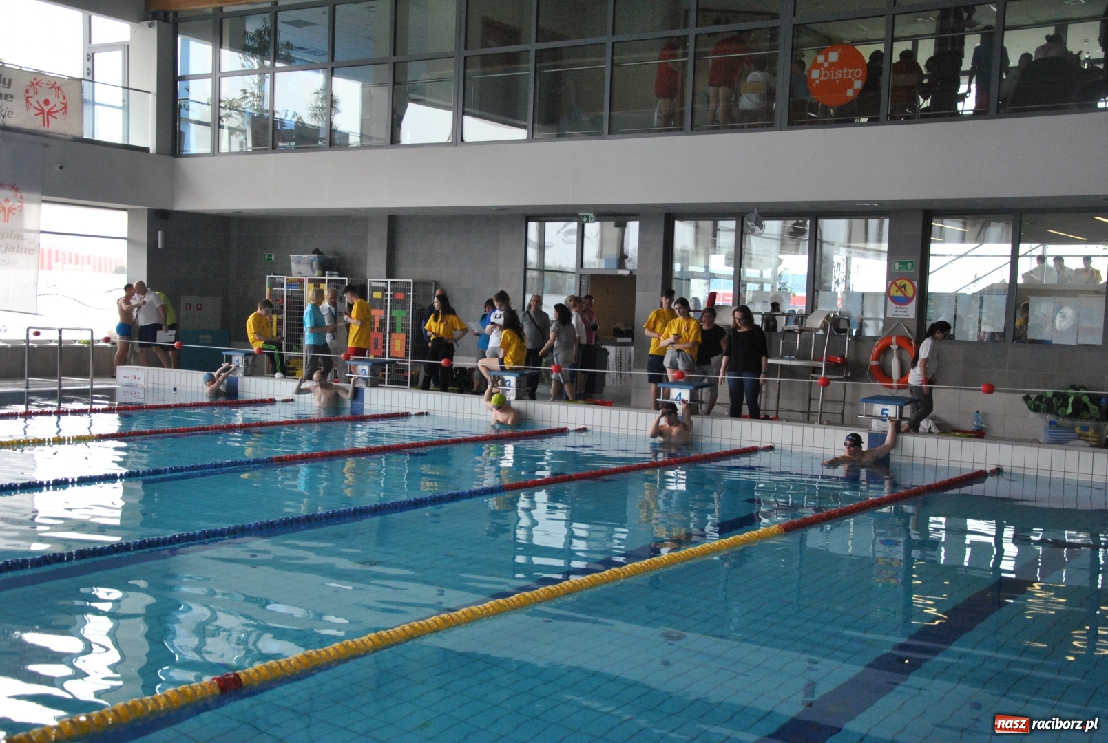 Zdjęcie w galerii na portalu naszraciborz.pl: Huragan Racibórz rządził na basenie w Zabrzu wiadomości z regionu