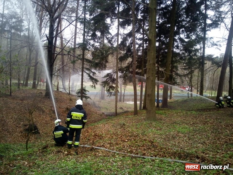 Zdjęcie w galerii na portalu naszraciborz.pl: Strażackie ćwiczenia OSP gminy Kuźnia Raciborska w Rudach wiadomości z regionu