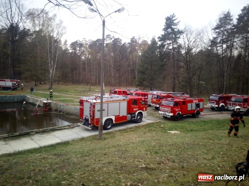 Zdjęcie w galerii na portalu naszraciborz.pl: Strażackie ćwiczenia OSP gminy Kuźnia Raciborska w Rudach wiadomości z regionu