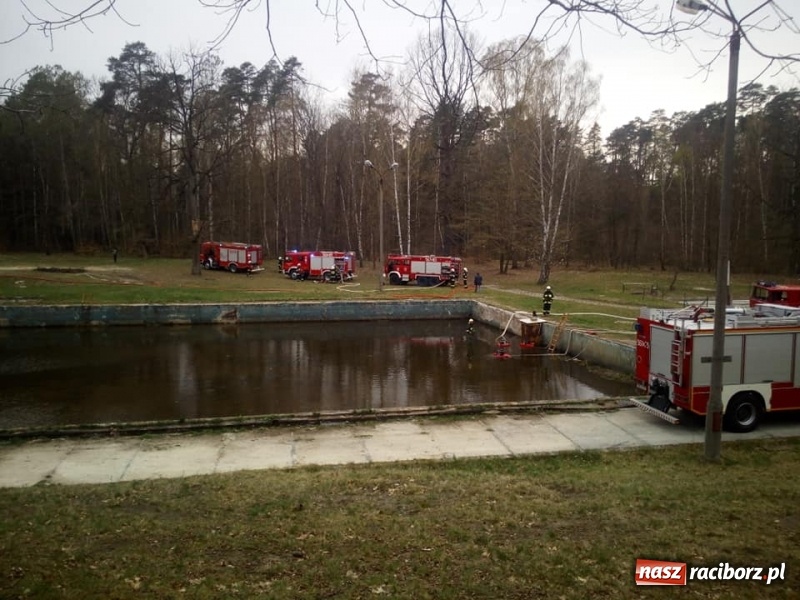 Zdjęcie w galerii na portalu naszraciborz.pl: Strażackie ćwiczenia OSP gminy Kuźnia Raciborska w Rudach wiadomości z regionu