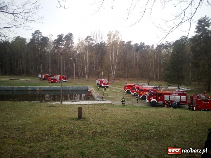Zdjęcie w galerii na portalu naszraciborz.pl: Strażackie ćwiczenia OSP gminy Kuźnia Raciborska w Rudach wiadomości z regionu