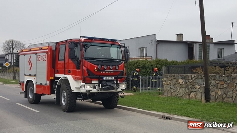 Zdjęcie w galerii na portalu naszraciborz.pl: Pożar dachu budynku na Kolejowej w Krzyżanowicach wiadomości z regionu