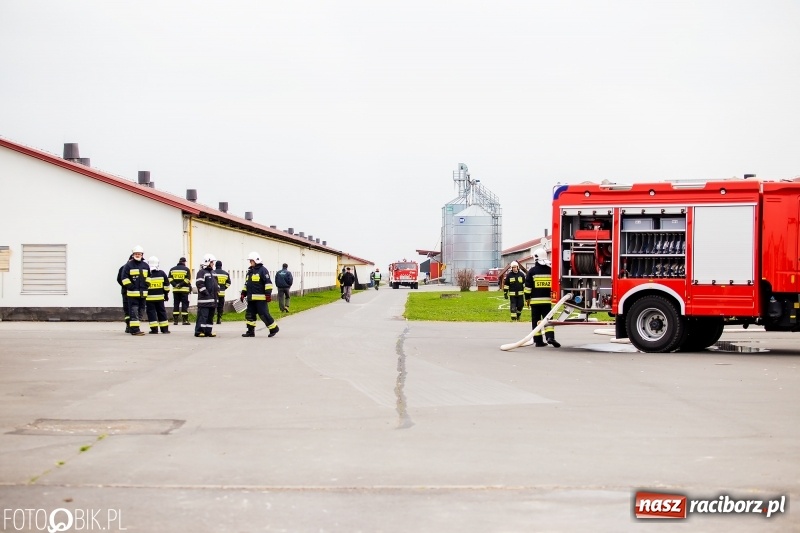 Zdjęcie w galerii na portalu naszraciborz.pl: OSP Sudół jak zawodowcy. Raport z działań OSP za 2018 r.  wiadomości z regionu