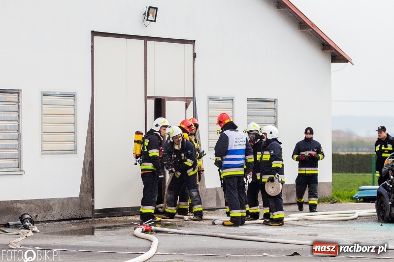 Zdjęcie w galerii na portalu naszraciborz.pl: OSP Sudół jak zawodowcy. Raport z działań OSP za 2018 r.  wiadomości z regionu