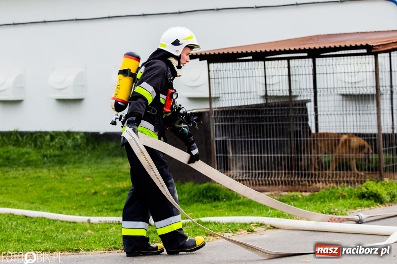 Zdjęcie w galerii na portalu naszraciborz.pl: OSP Sudół jak zawodowcy. Raport z działań OSP za 2018 r.  wiadomości z regionu