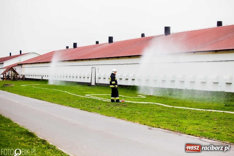 Zdjęcie w galerii na portalu naszraciborz.pl: OSP Sudół jak zawodowcy. Raport z działań OSP za 2018 r.  wiadomości z regionu