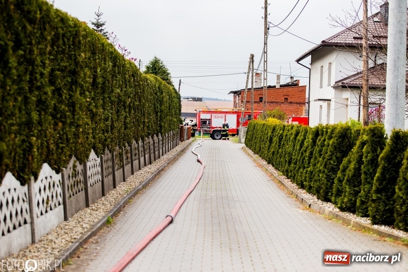 Zdjęcie w galerii na portalu naszraciborz.pl: OSP Sudół jak zawodowcy. Raport z działań OSP za 2018 r.  wiadomości z regionu