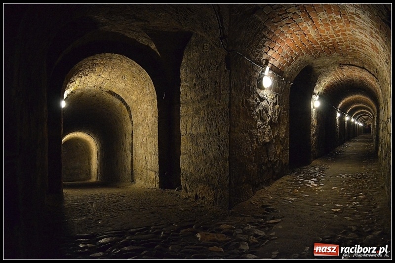 Zdjęcie w galerii na portalu naszraciborz.pl: Wystartowały zapisy na obóz ART CAMP „ZIELONE WZGÓRZE” wiadomości z regionu