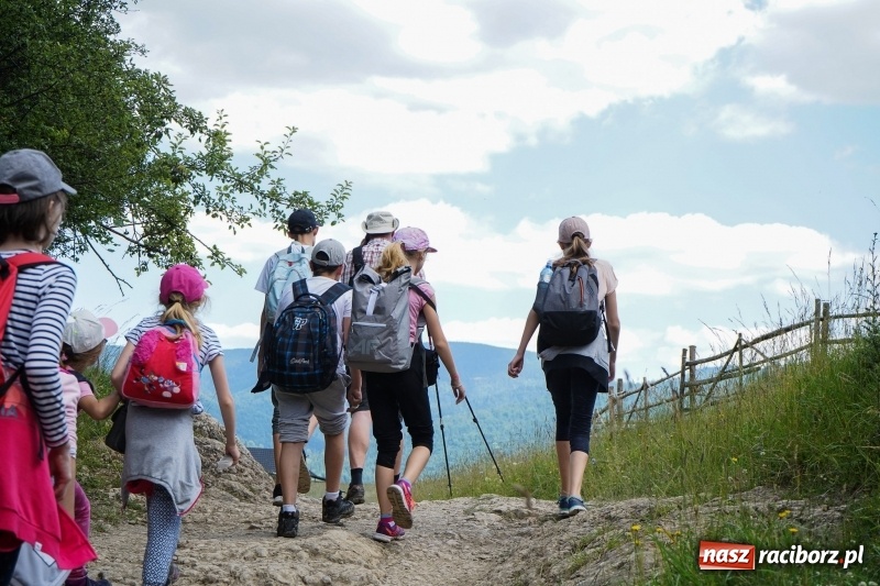 Zdjęcie w galerii na portalu naszraciborz.pl: Wystartowały zapisy na obóz ART CAMP „ZIELONE WZGÓRZE” wiadomości z regionu