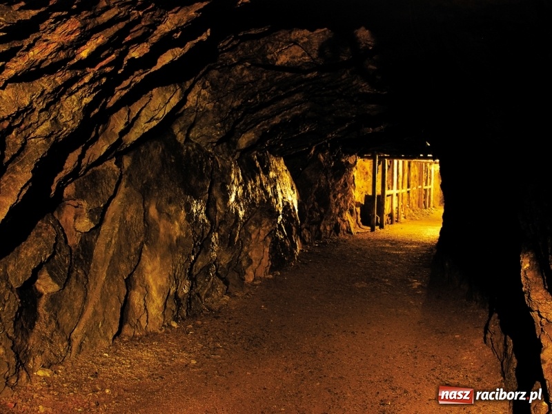 Zdjęcie w galerii na portalu naszraciborz.pl: Wystartowały zapisy na obóz ART CAMP „ZIELONE WZGÓRZE” wiadomości z regionu