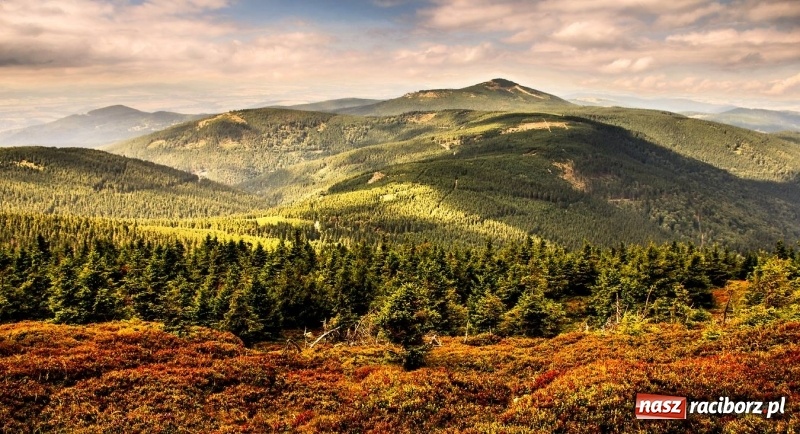 Zdjęcie w galerii na portalu naszraciborz.pl: Wystartowały zapisy na obóz ART CAMP „ZIELONE WZGÓRZE” wiadomości z regionu