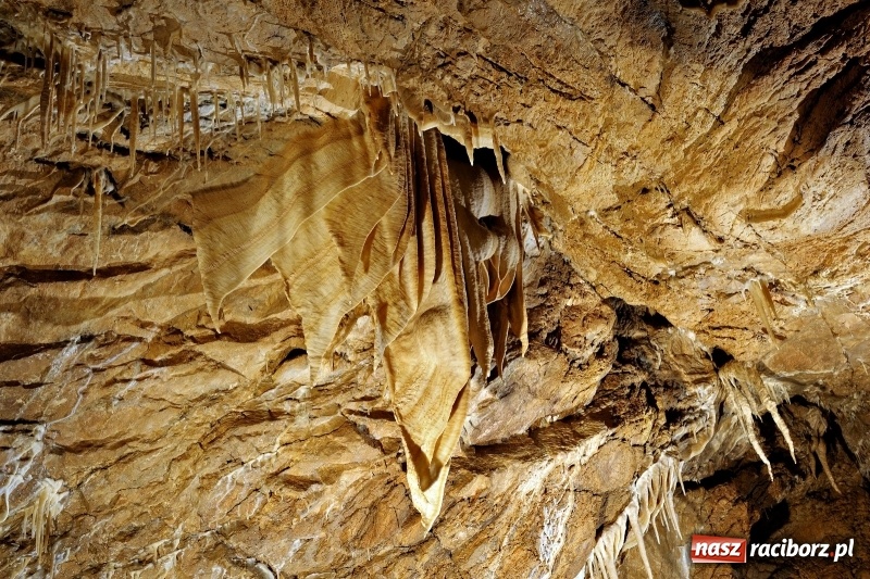 Zdjęcie w galerii na portalu naszraciborz.pl: Wystartowały zapisy na obóz ART CAMP „ZIELONE WZGÓRZE” wiadomości z regionu