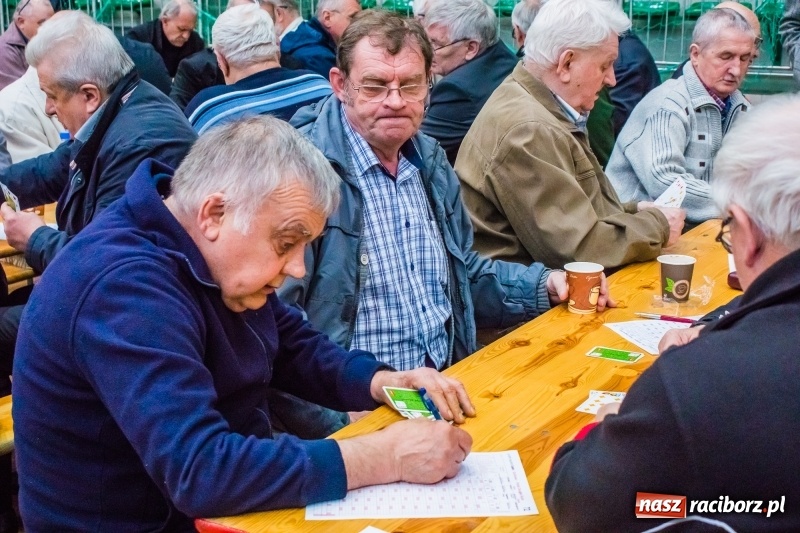 Zdjęcie w galerii na portalu naszraciborz.pl: Miłośnicy skata rywalizowali w Arenie Rafako wiadomości z regionu