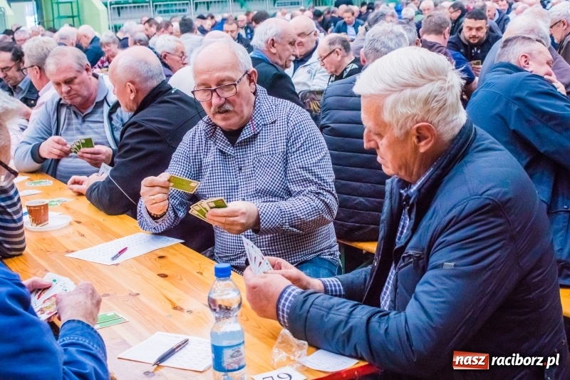 Zdjęcie w galerii na portalu naszraciborz.pl: Miłośnicy skata rywalizowali w Arenie Rafako wiadomości z regionu