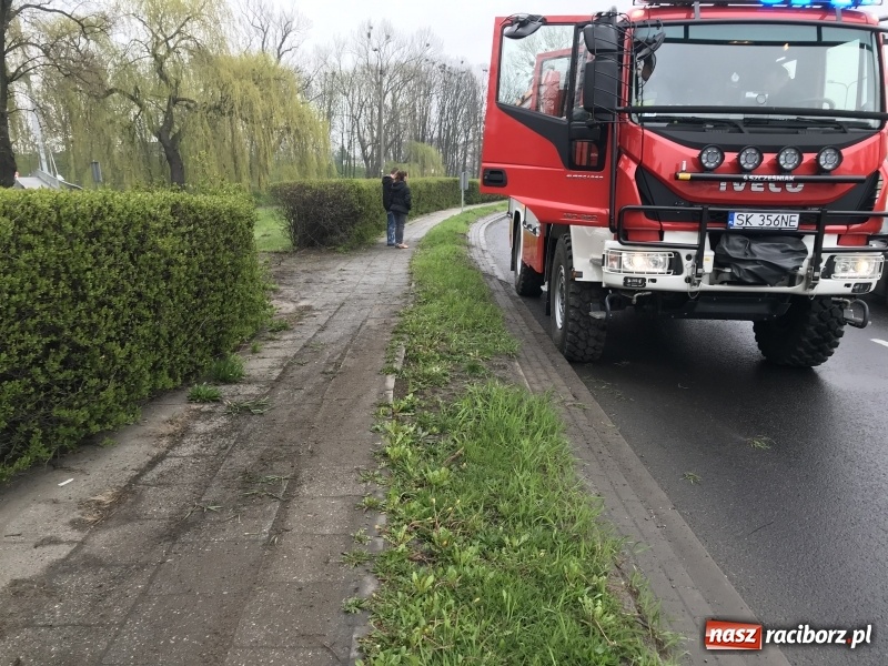 Zdjęcie w galerii na portalu naszraciborz.pl: Renault clio z matką i dzieckiem wypadło z Odrostrady [FOTO]  wiadomości z regionu