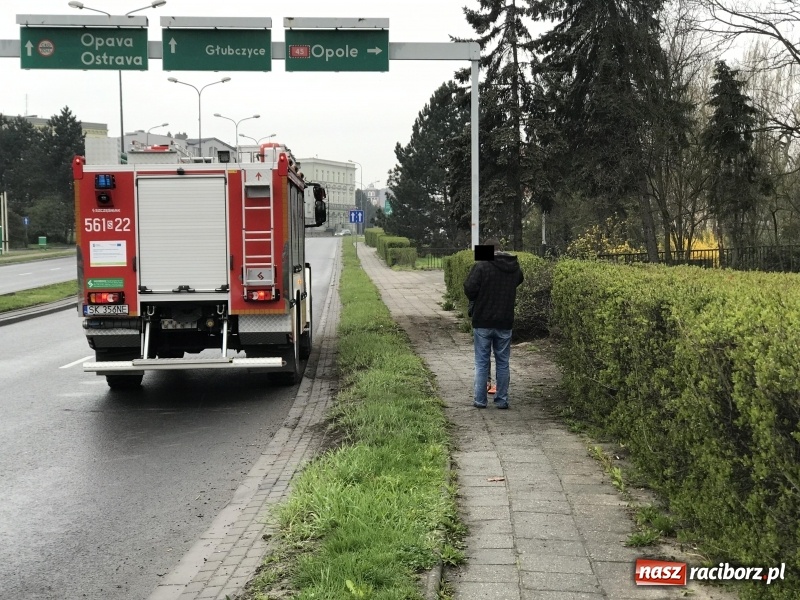 Zdjęcie w galerii na portalu naszraciborz.pl: Renault clio z matką i dzieckiem wypadło z Odrostrady [FOTO]  wiadomości z regionu