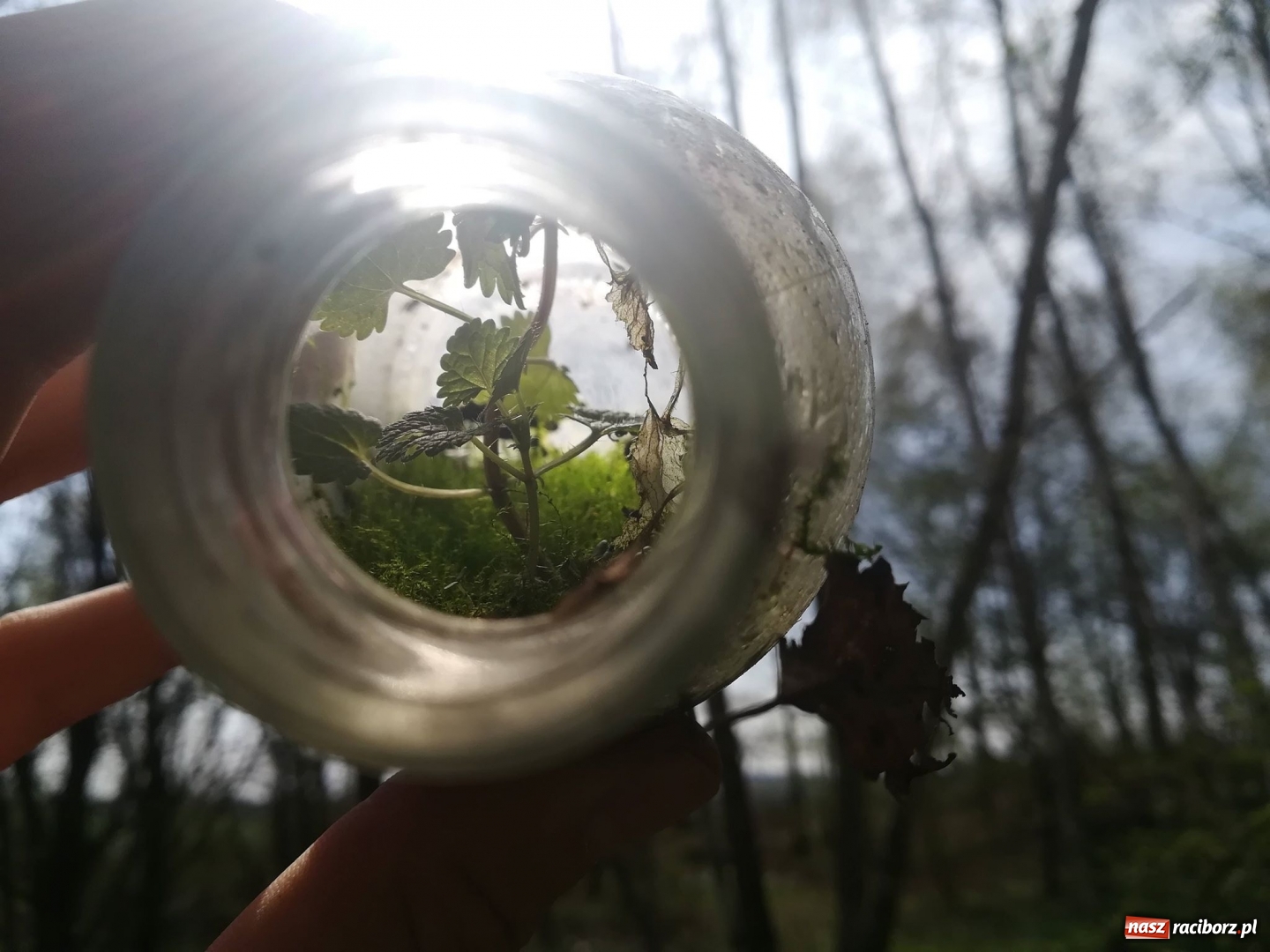 Zdjęcie w galerii na portalu naszraciborz.pl: Grupa Amatorka zachęca do sprzątania wiadomości z regionu