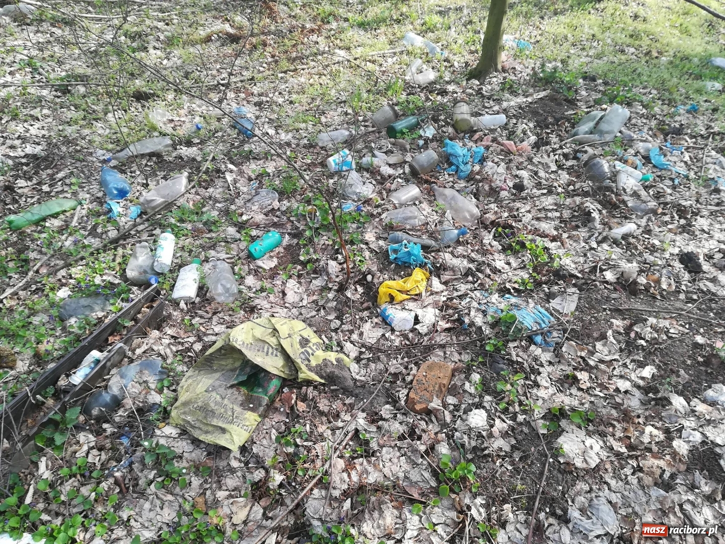 Zdjęcie w galerii na portalu naszraciborz.pl: Grupa Amatorka zachęca do sprzątania wiadomości z regionu