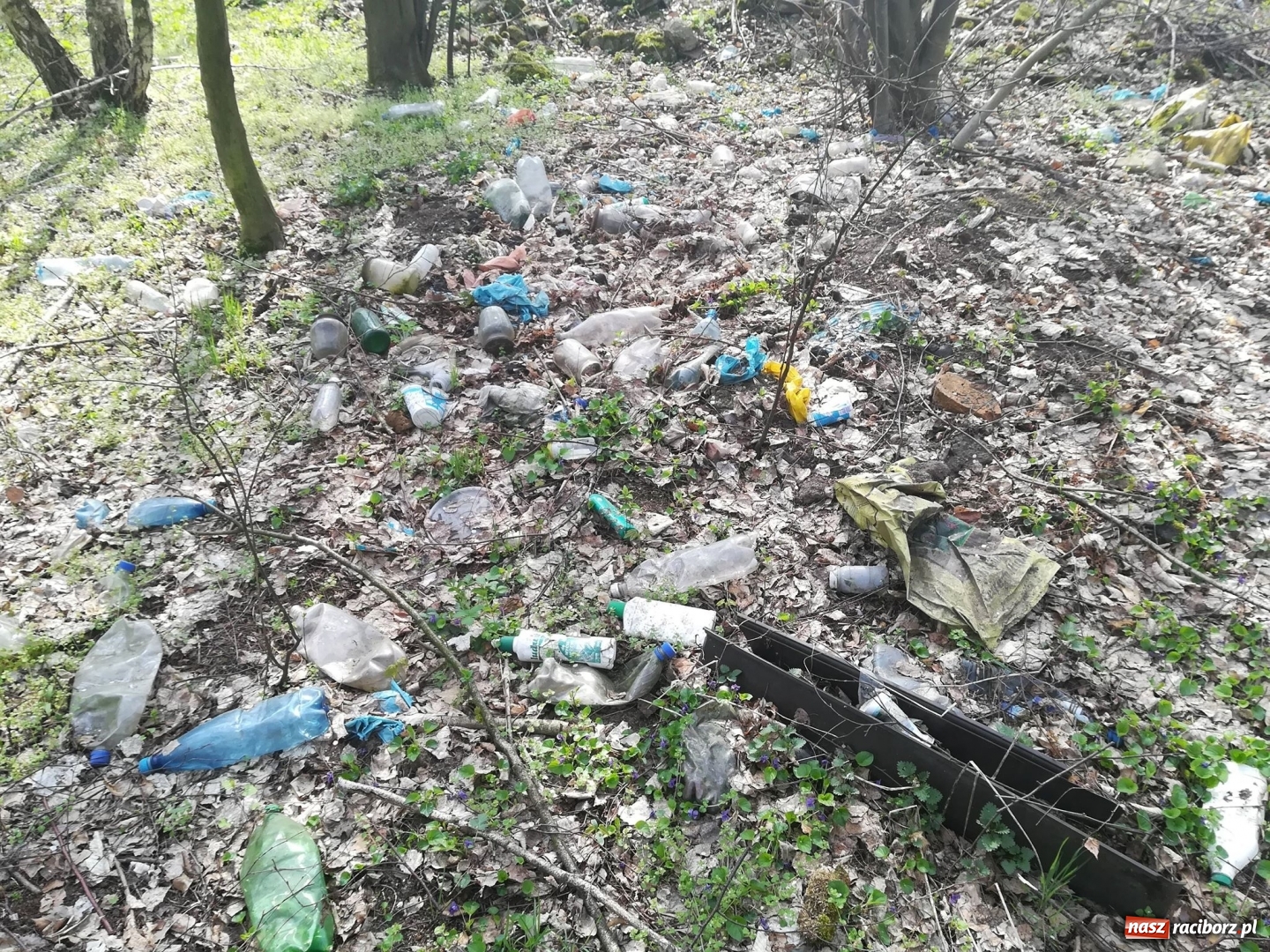 Zdjęcie w galerii na portalu naszraciborz.pl: Grupa Amatorka zachęca do sprzątania wiadomości z regionu