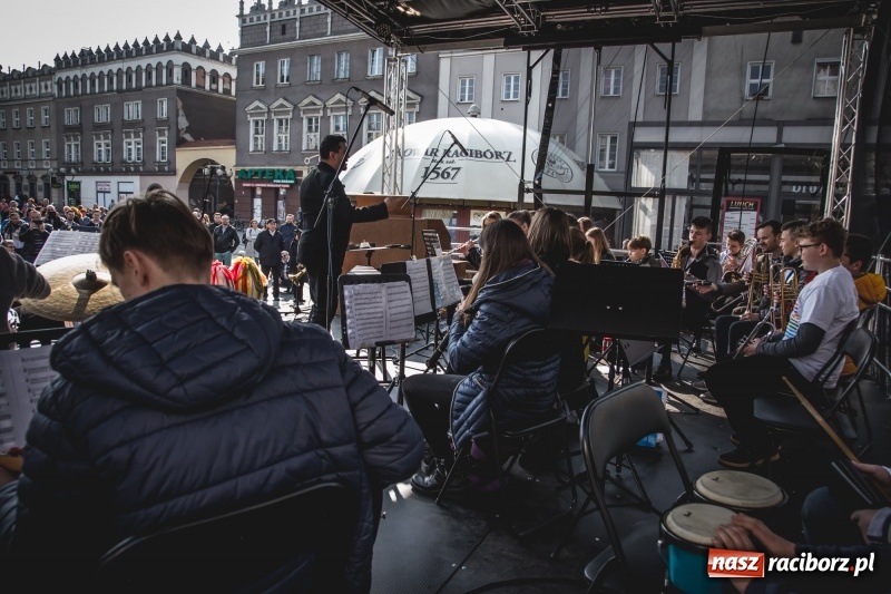 Zdjęcie w galerii na portalu naszraciborz.pl: Wielkanocny jarmark na raciborskim Rynku [FOTO] wiadomości z regionu
