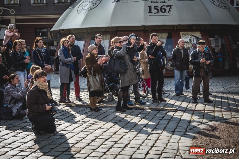 Zdjęcie w galerii na portalu naszraciborz.pl: Wielkanocny jarmark na raciborskim Rynku [FOTO] wiadomości z regionu