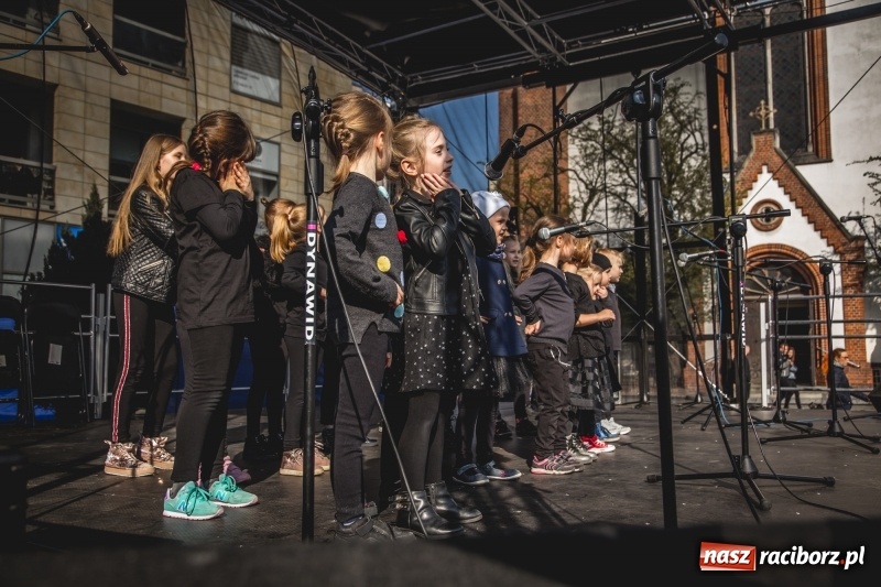 Zdjęcie w galerii na portalu naszraciborz.pl: Wielkanocny jarmark na raciborskim Rynku [FOTO] wiadomości z regionu