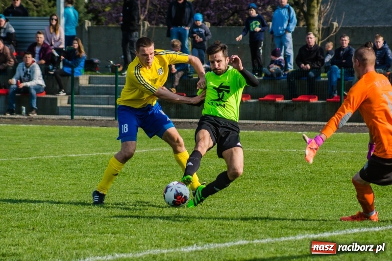Zdjęcie w galerii na portalu naszraciborz.pl: Klasyczny hat-trick Kowalczyka na kuźniańską Stal styka [FOTO] wiadomości z regionu