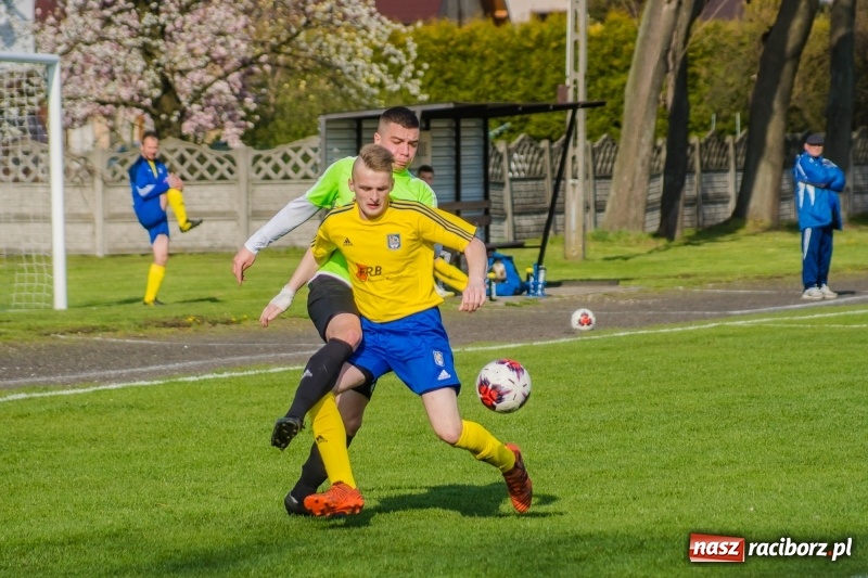 Zdjęcie w galerii na portalu naszraciborz.pl: Klasyczny hat-trick Kowalczyka na kuźniańską Stal styka [FOTO] wiadomości z regionu