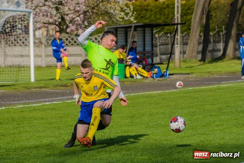 Zdjęcie w galerii na portalu naszraciborz.pl: Klasyczny hat-trick Kowalczyka na kuźniańską Stal styka [FOTO] wiadomości z regionu