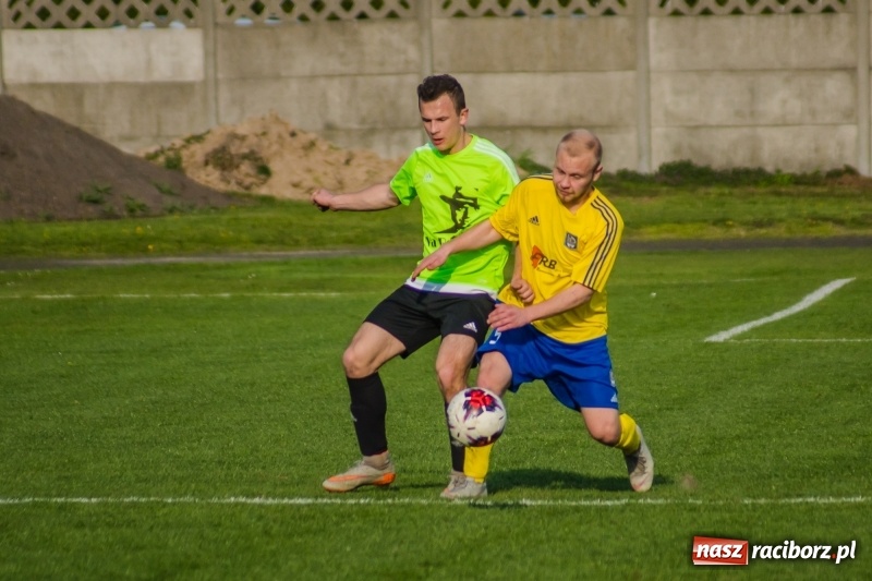 Zdjęcie w galerii na portalu naszraciborz.pl: Klasyczny hat-trick Kowalczyka na kuźniańską Stal styka [FOTO] wiadomości z regionu