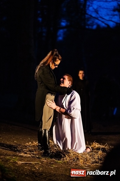 Zdjęcie w galerii na portalu naszraciborz.pl: Spektakl Sen Nocy Letniej w Amfiteatrze Buk w Rudach wiadomości z regionu