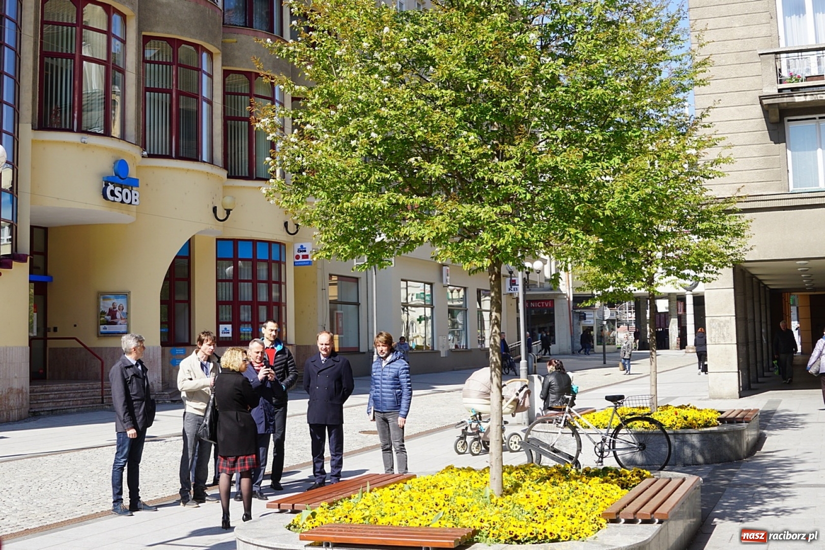 Zdjęcie w galerii na portalu naszraciborz.pl: Opawska zieleń miejska inspiracją dla ulicy Długiej wiadomości z regionu