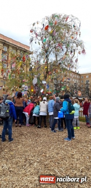 Zdjęcie w galerii na portalu naszraciborz.pl: Czeskie tradycje wielkanocne w wykonaniu raciborskich dzieci  wiadomości z regionu