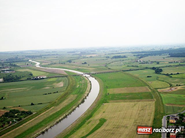Zdjęcie w galerii na portalu naszraciborz.pl: Racibórz widziany z szybowca wiadomości z regionu