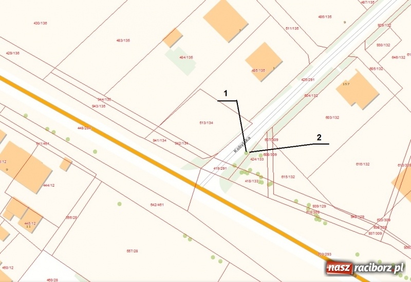 Zdjęcie w galerii na portalu naszraciborz.pl: W Raciborzu wytną kolejne drzewa wiadomości z regionu