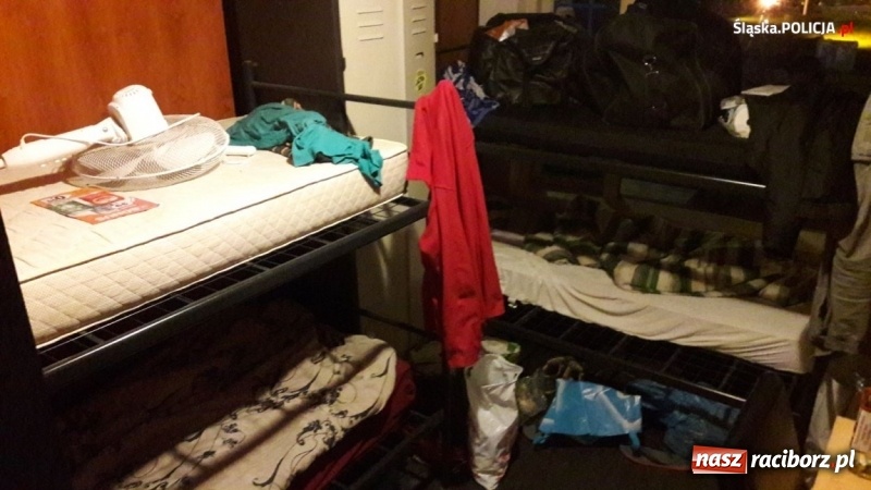 Zdjęcie w galerii na portalu naszraciborz.pl: Praca w Holandii pod lupą śląskiej policji. NIE dla pracy przymusowej! [SONDA] wiadomości z regionu