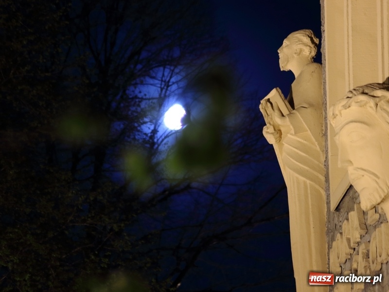 Zdjęcie w galerii na portalu naszraciborz.pl: Dekret biskupa opolskiego o przebiegu Wielkiego Tygodnia. Od Wielkanocy 50 osób w kościele wiadomości z regionu