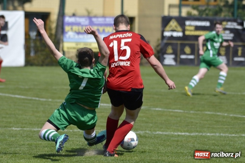 Zdjęcie w galerii na portalu naszraciborz.pl: Klasa okręgowa. Już byli w zagrodzie, witali się z gąską... wiadomości z regionu